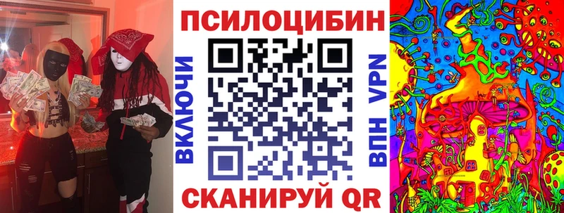 дарнет шоп Новомичуринск Псилоцибиновые грибы Psilocybine cubensis